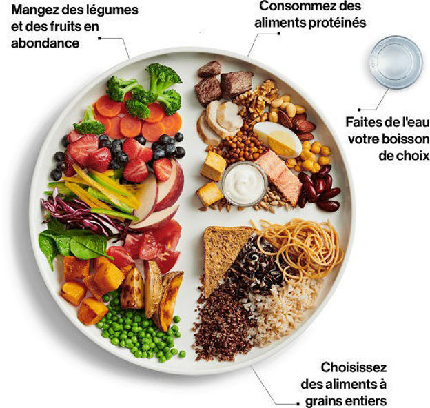 Image de Guide alimentaire canadien