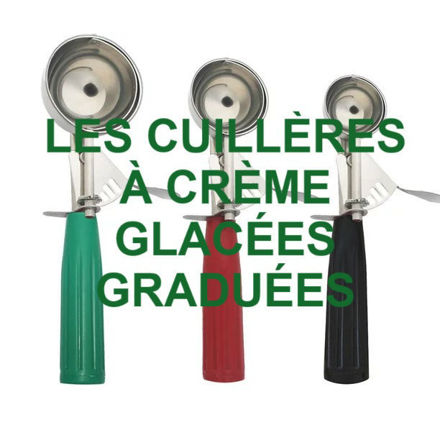 Image de Outils 005 Cuillères à crème glaçée