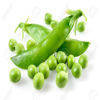 LES PETITS POIS DU JARDIN