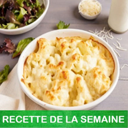 Image de Gratin de chou-fleur du jardin